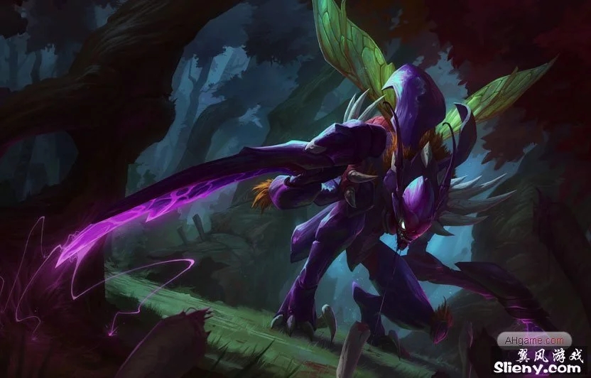 仅要求选手 仅要求选手